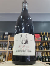 Le Renard Pinot Noir Bourgogne 2022 - Domaines Devillard