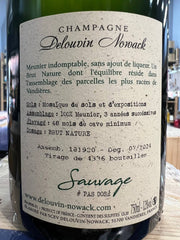 Champagne Sauvage Delouvin Brut Nature