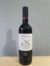 "Volo" Rosso Veneto IGT 2022 Il Filò Delle Vigne