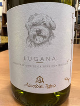 Lion Lugana DOC 2020 Accordini