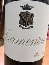 Carmenere Tenuta San Leonardo 2016