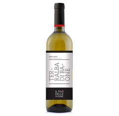 IL FILO DELLE VIGNE - “TERRALBA DI BAONE” BIANCO VENETO IGT 2017