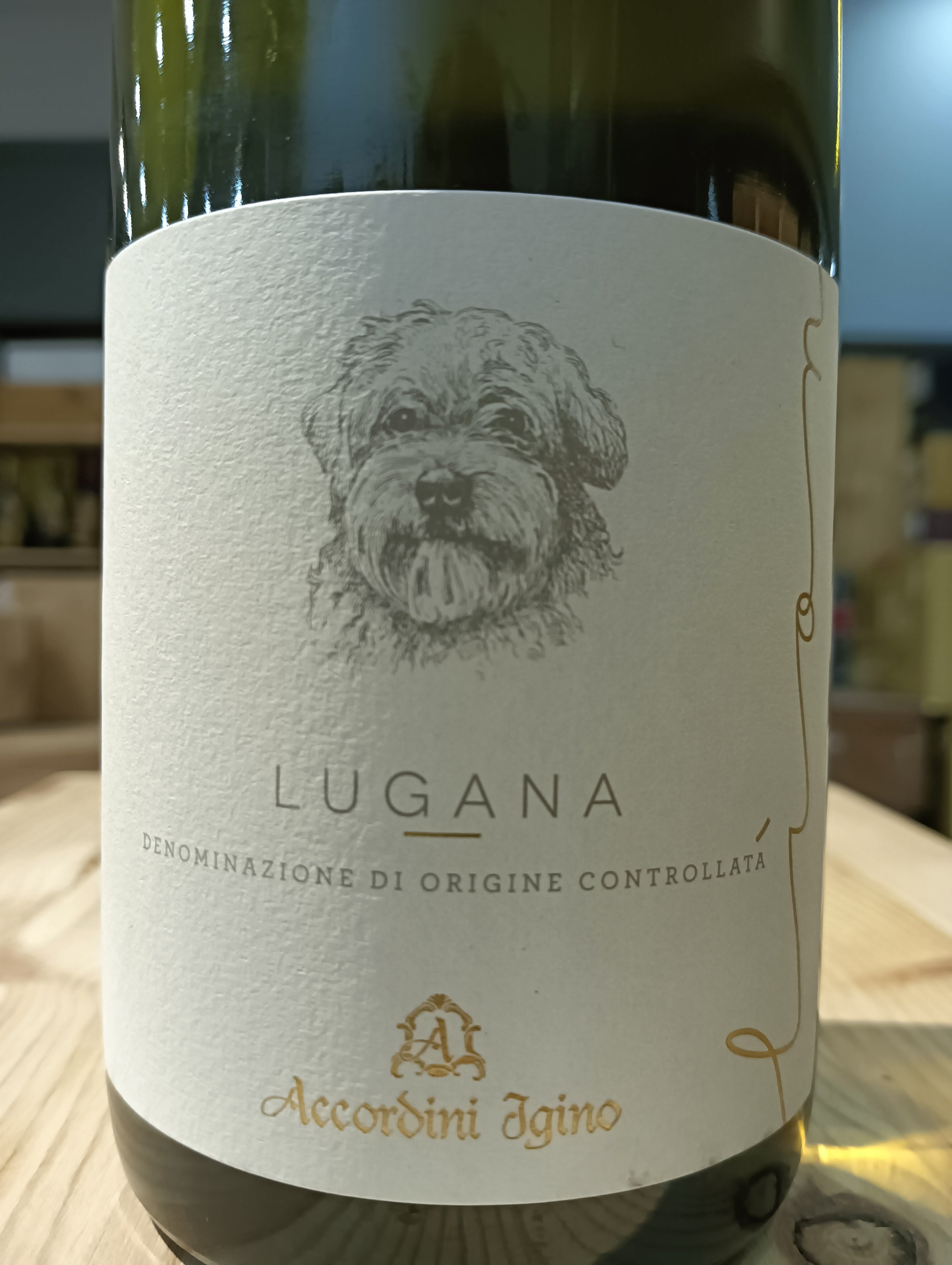 Lion Lugana DOC 2023 - Accordini Igino