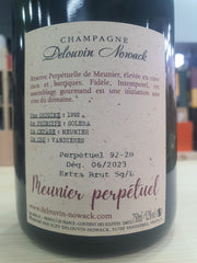 Champagne Extra Brut "Meunier Perpétuel" - Delouvin Nowack