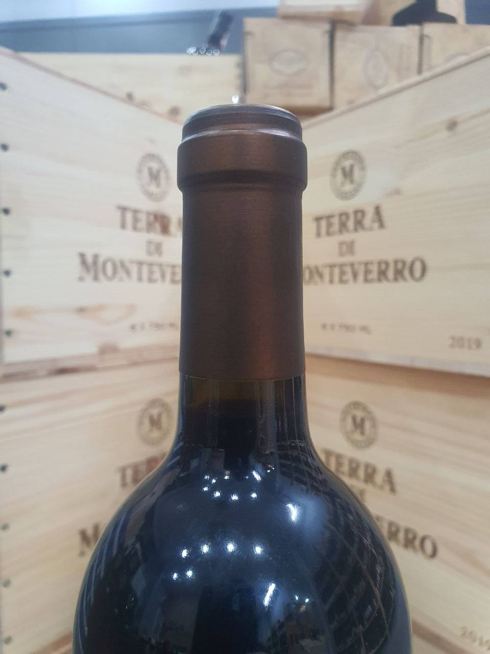 Terra di Monteverro Toscana IGT 2019