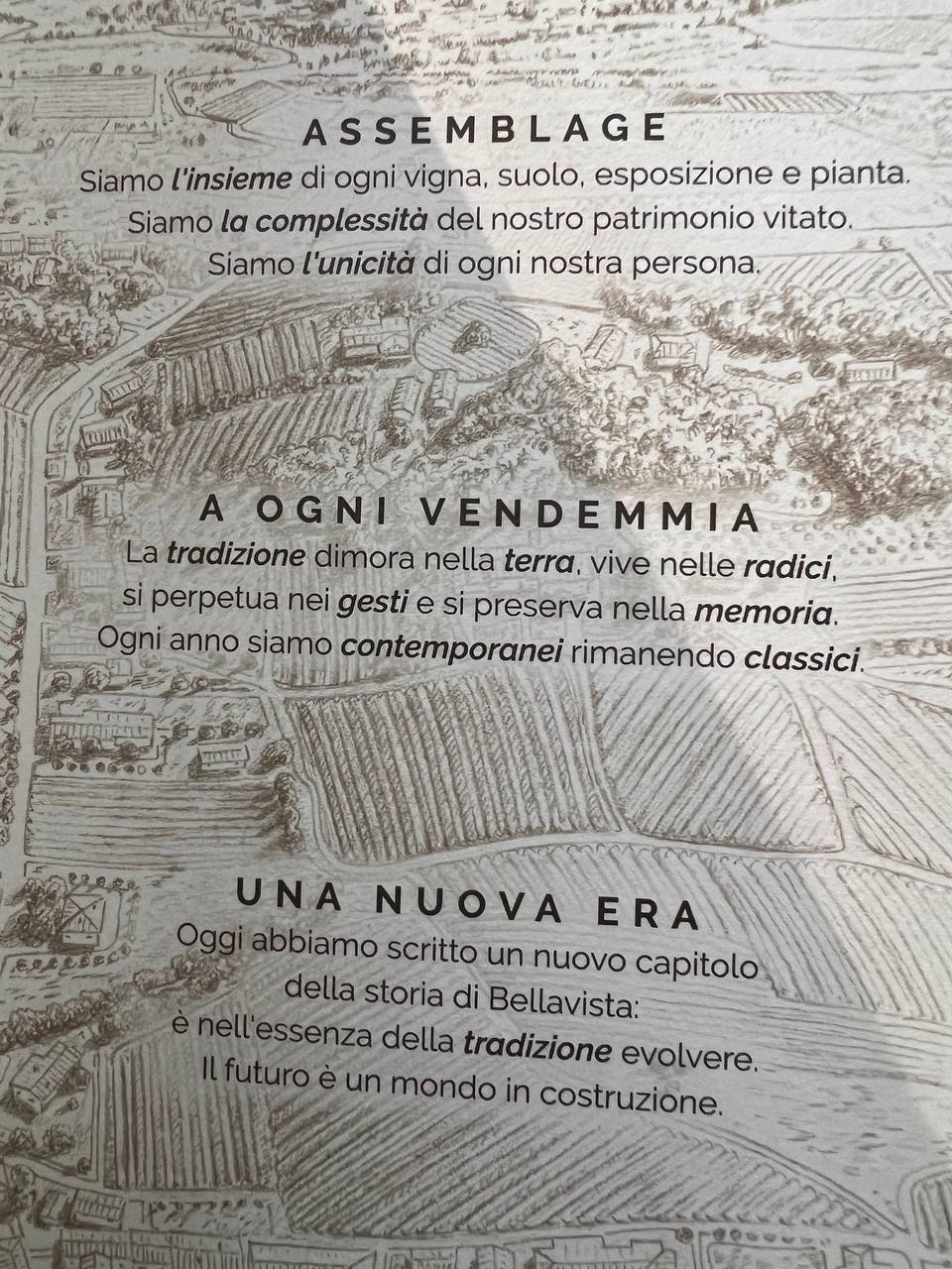 Franciacorta Magnum Alma Assemblage 1 - Con Astuccio