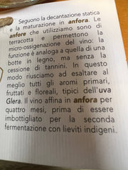 Amphora 2019 Metodo Classico Brut Nature Biancavigna