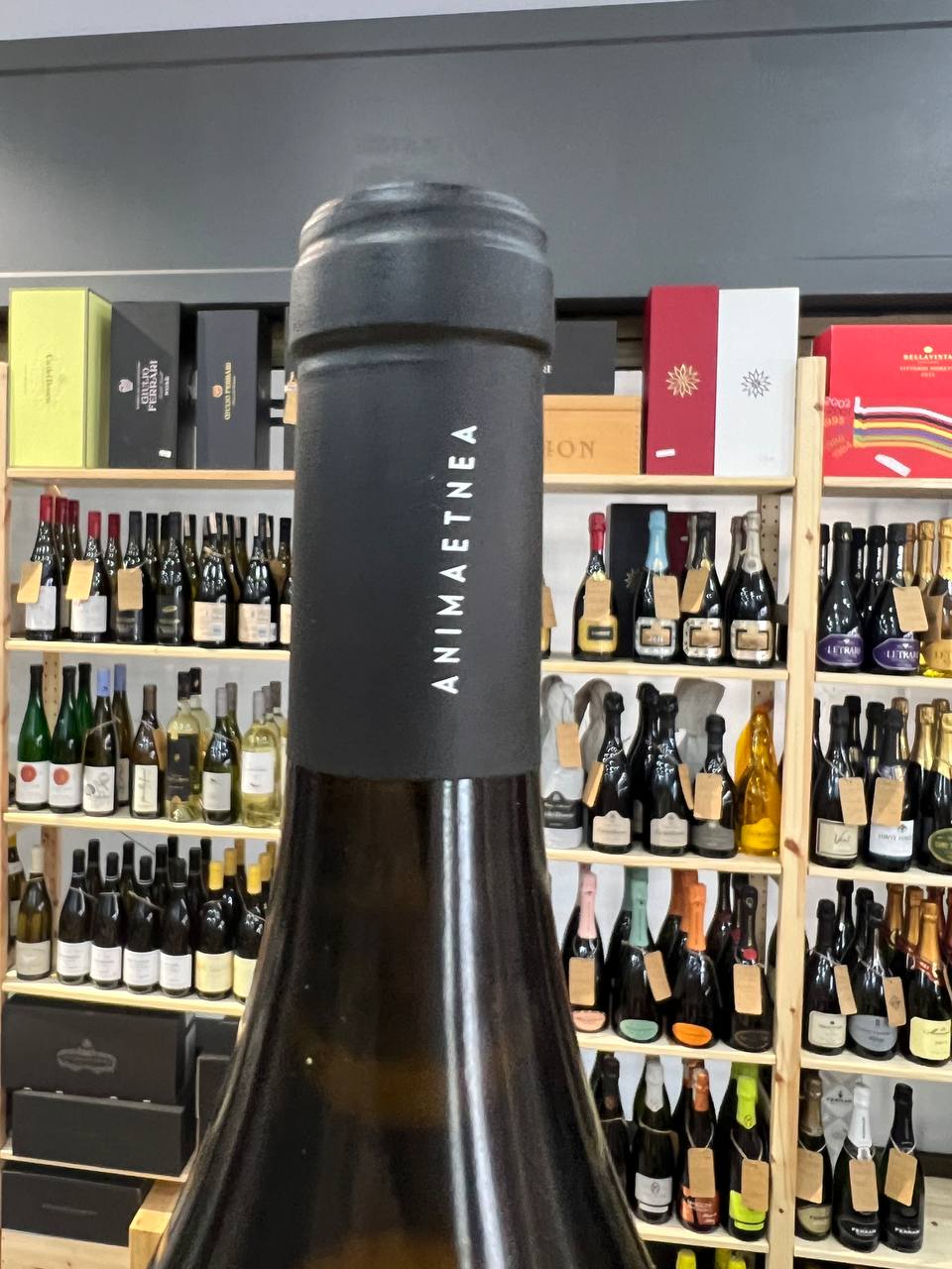 Animalucente 2022 Etna Bianco DOC Animaetnea