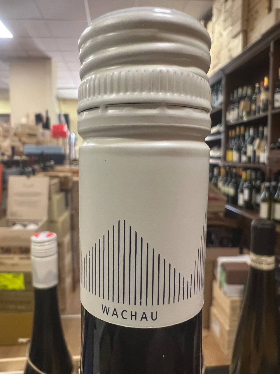 Grüner Veltliner Ried Schön Federspiel 2021 - Högl