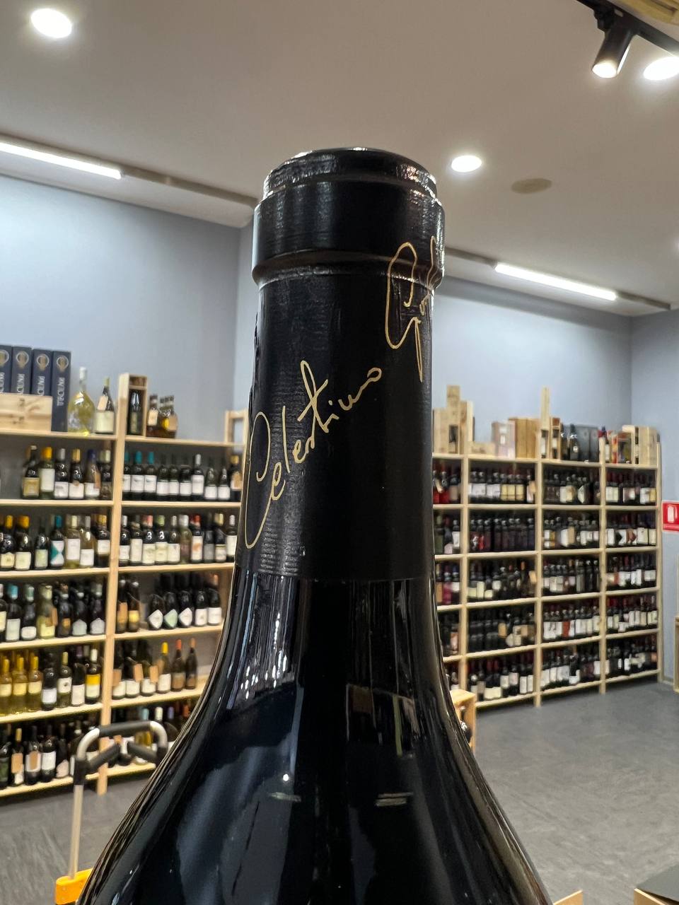 Harlequin 2016 Zýmè Veneto Rosso IGP