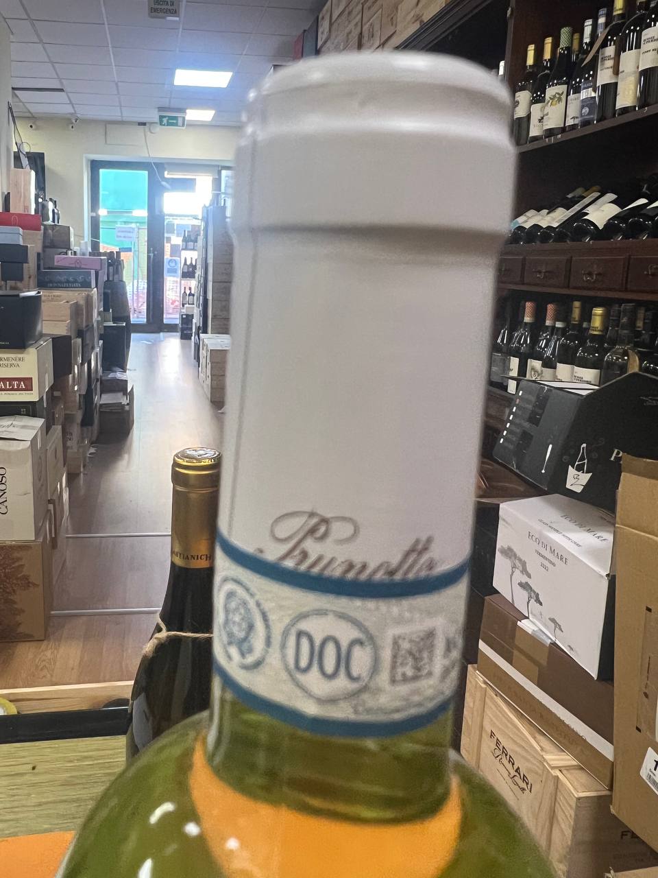 Langhe Arneis DOC 2021 Prunotto