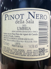 Pinot Nero Della Sala 2021