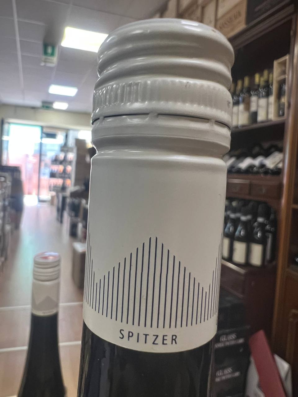 Högl Riesling Federspiel J&G 2021