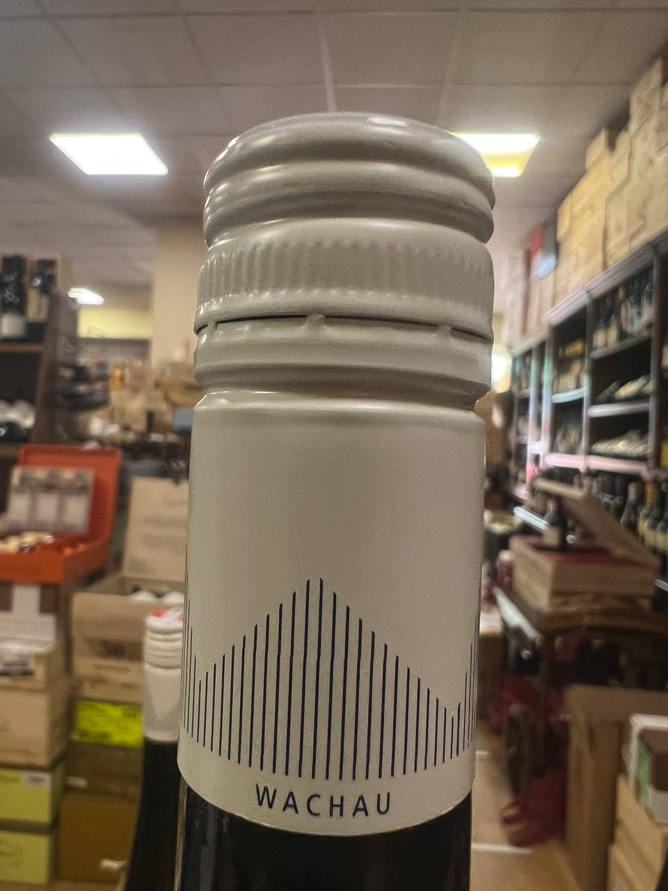 Högl Riesling Federspiel J&G 2021