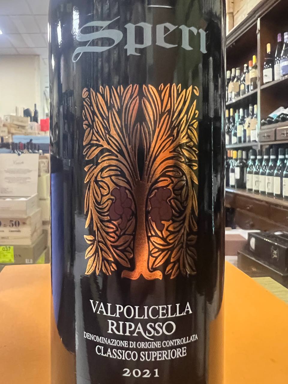 Valpolicella Ripasso Classico Superiore 2021 Speri