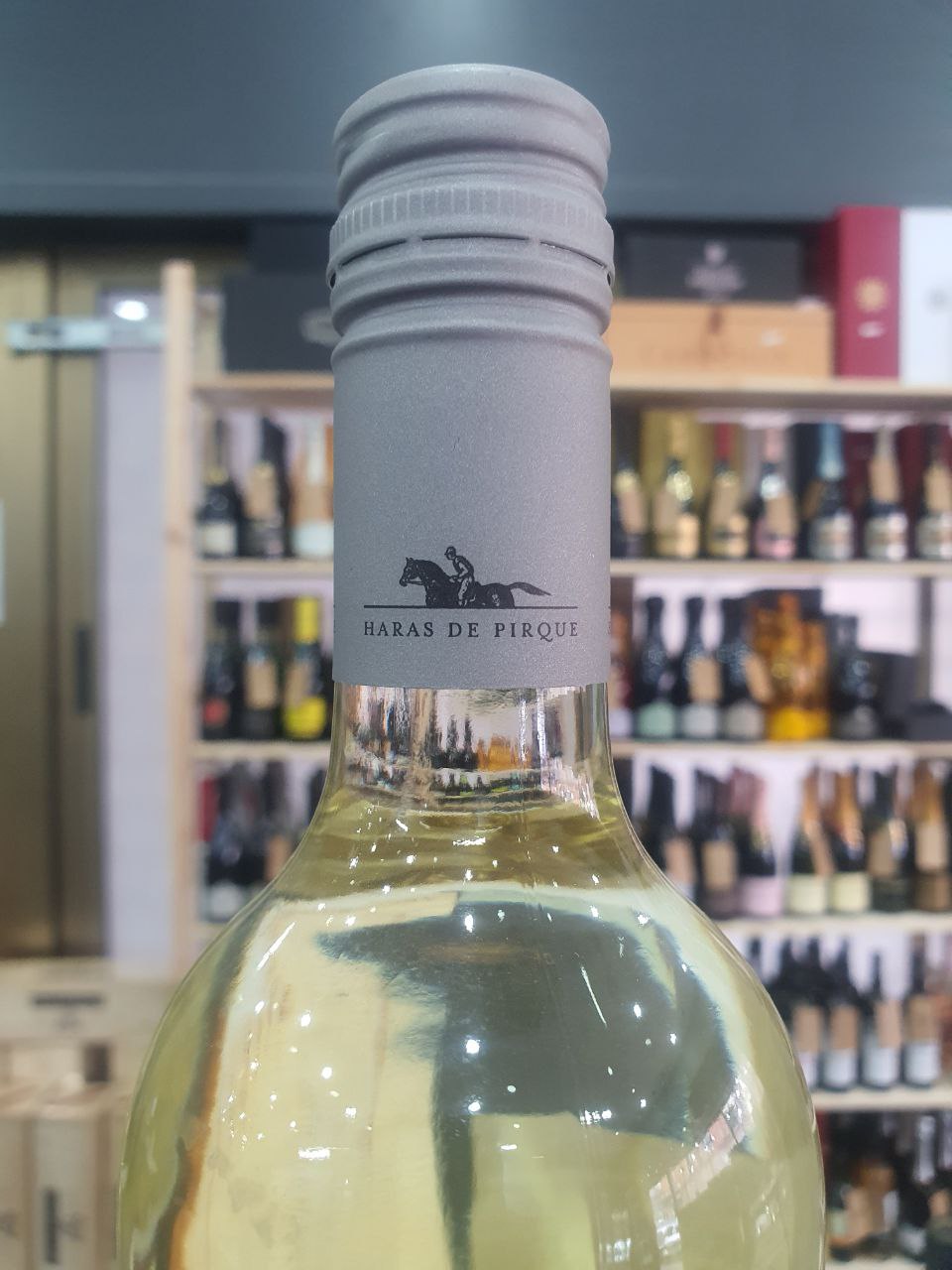 Sauvignon Blanc 2022 Albaclara - Haras de Pirque