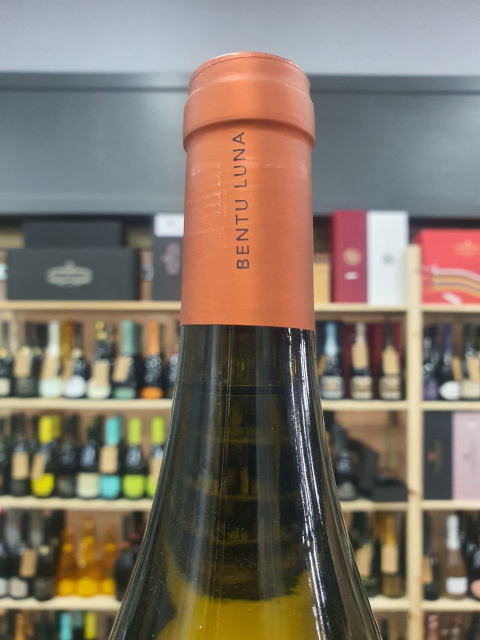 Vermentino di Sardegna Unda 2021 Bentu Luna