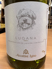 Lion Lugana DOC 2020 Accordini