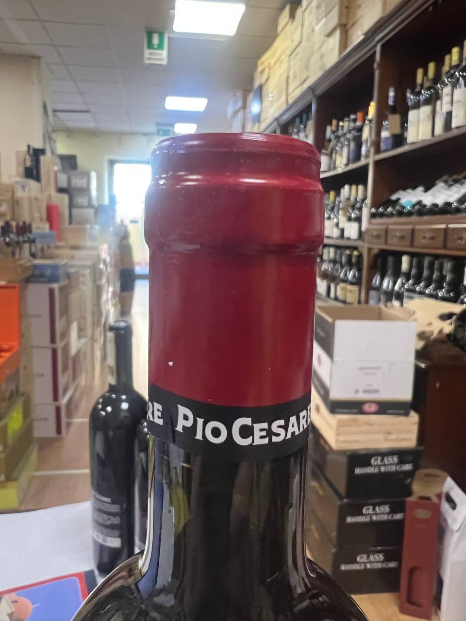 Barbera d'Alba Pio Cesare 2021