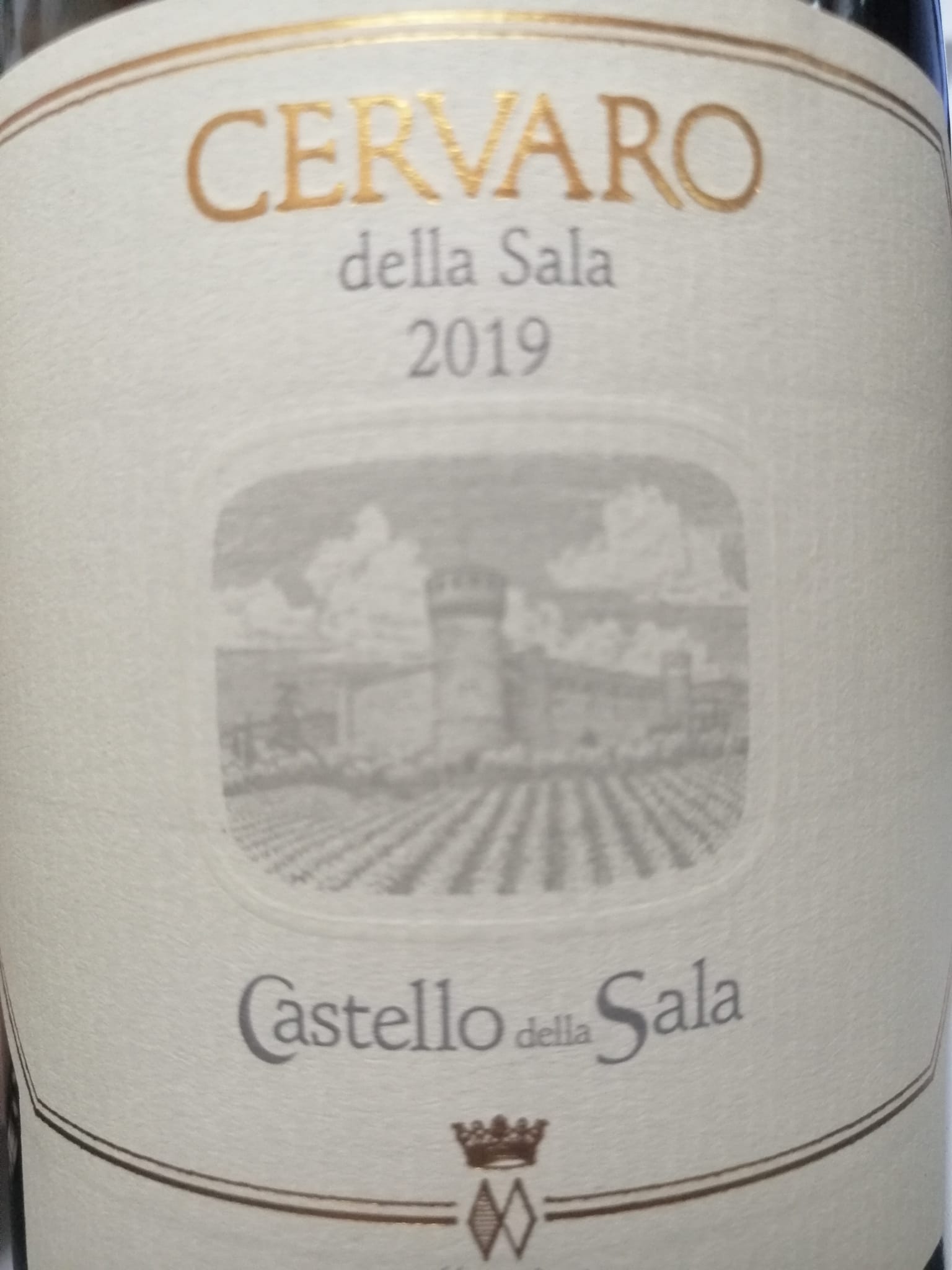 Cervaro della Sala 2019