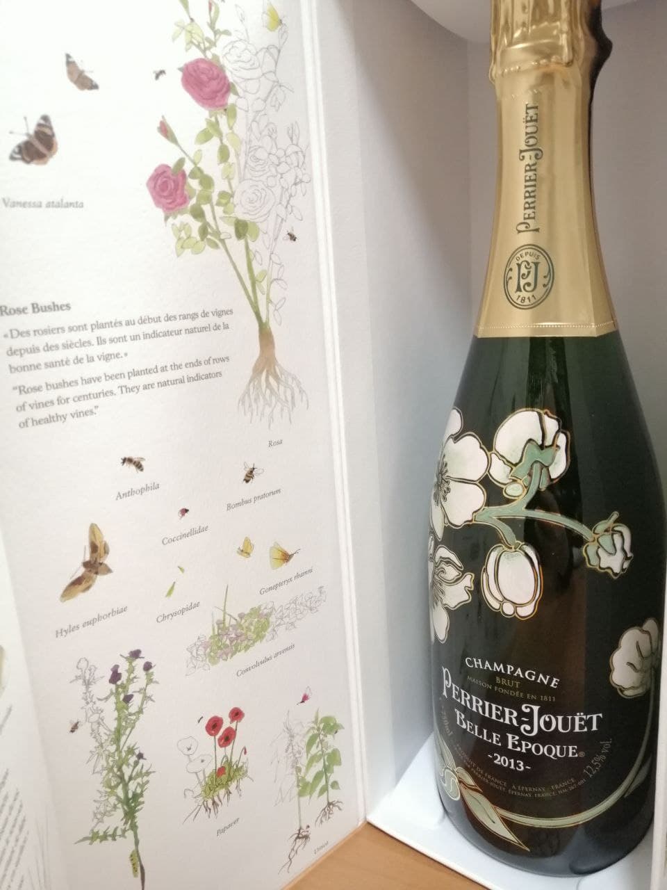 Perrier-jouët "Belle Epoque" 2013 (con Astuccio)