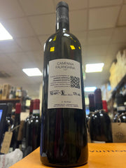 Tenuta Scuotto Falanghina 2021 Campania IGP