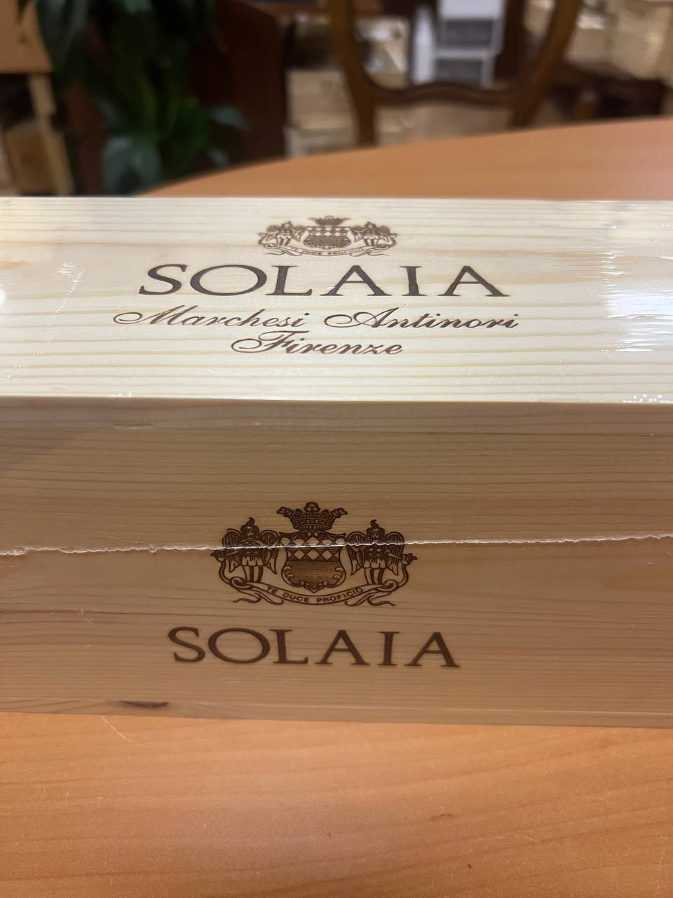 Solaia Magnum 2019